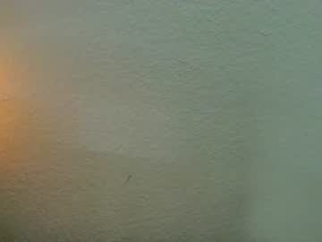 Elliohh Chaturbate stream image from May 16, 2026