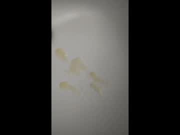 Alexis83834 Chaturbate stream image from May 17, 2026