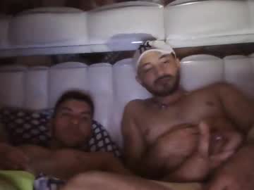 Elgatolive4 Chaturbate stream image from May 18, 2026