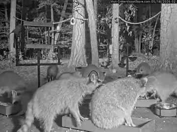 Multichill Chaturbate stream image from May 18, 2026