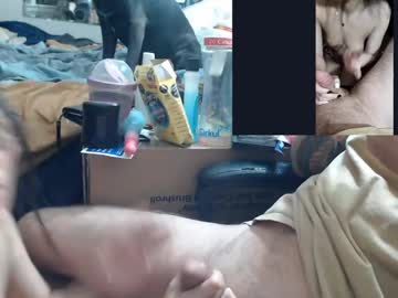 Crownandkat Chaturbate stream image from May 19, 2026