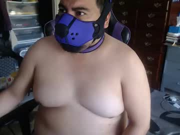 Cubgamerbear Chaturbate stream image from May 21, 2026