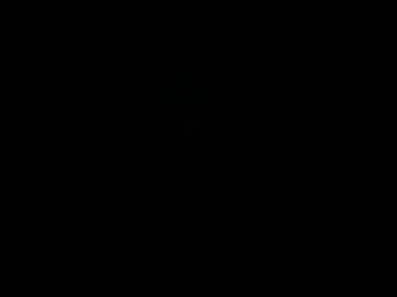 Ohellesbells Chaturbate stream image from May 23, 2026