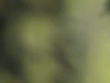 Benz10001 Chaturbate stream image from May 23, 2026