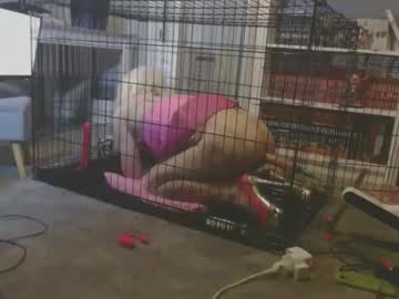 Alexas_Owned_Bitch Chaturbate stream image from May 23, 2026