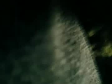 Goongander Chaturbate stream image from May 25, 2026