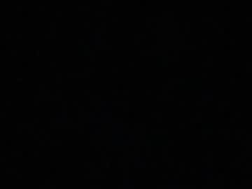 Fedelex2069 Chaturbate stream image from May 26, 2026