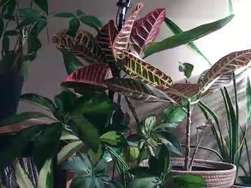 Pricklypear85 Chaturbate stream image from May 26, 2026