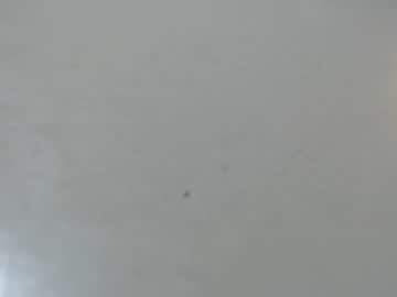 Manotcheblu Chaturbate stream image from May 28, 2026