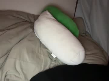 Toshikaro0 Chaturbate stream image from May 31, 2026