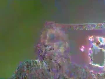 Nitai84 Chaturbate stream image from June 07, 2026