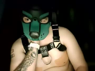 Pup_Kori Chaturbate stream image from June 08, 2026