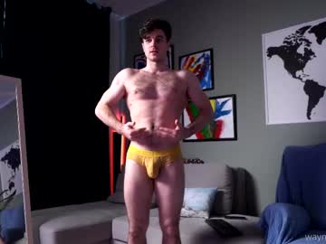 Waynenorth Chaturbate stream image from June 09, 2026