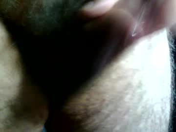 Gattosilvestro00 Chaturbate stream image from June 12, 2026
