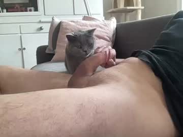 Thegermanguy81 Chaturbate stream image from June 15, 2026