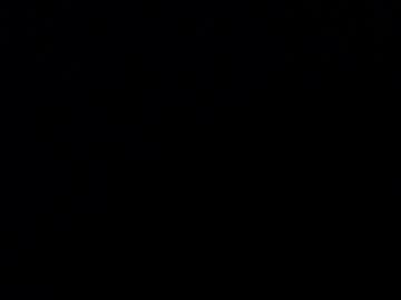 Blue_Morningstar Chaturbate stream image from June 17, 2026