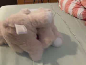 Bdaddy808 Chaturbate stream image from June 20, 2026