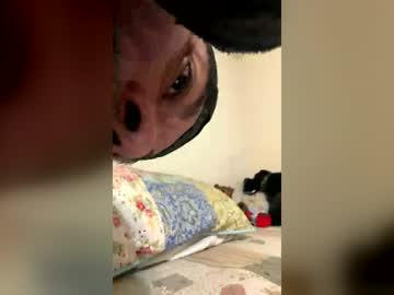 Freemailforjesus Chaturbate stream image from June 23, 2026