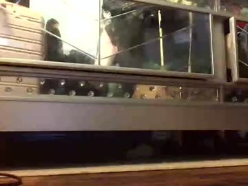 Thickmadame28 Chaturbate stream image from June 29, 2026