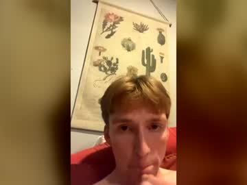 Twnkginger Chaturbate stream image from June 30, 2026