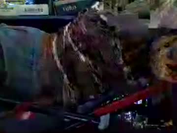 Vennus23 Chaturbate stream image from July 03, 2026