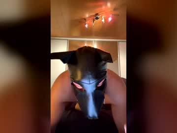 Playdog123 Chaturbate stream image from July 04, 2026