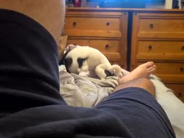 Pritchy02 Chaturbate stream image from July 04, 2026