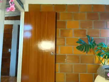 Sky_Fox_1 Chaturbate stream image from July 09, 2026