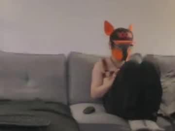 2pupsinheat Chaturbate stream image from July 11, 2026