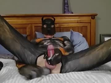 Studpupbcbottom Chaturbate stream image from July 12, 2026
