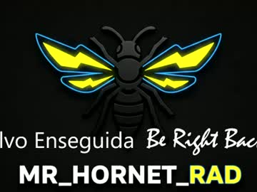 Mr_Hornet_Rad Chaturbate stream image from July 15, 2026